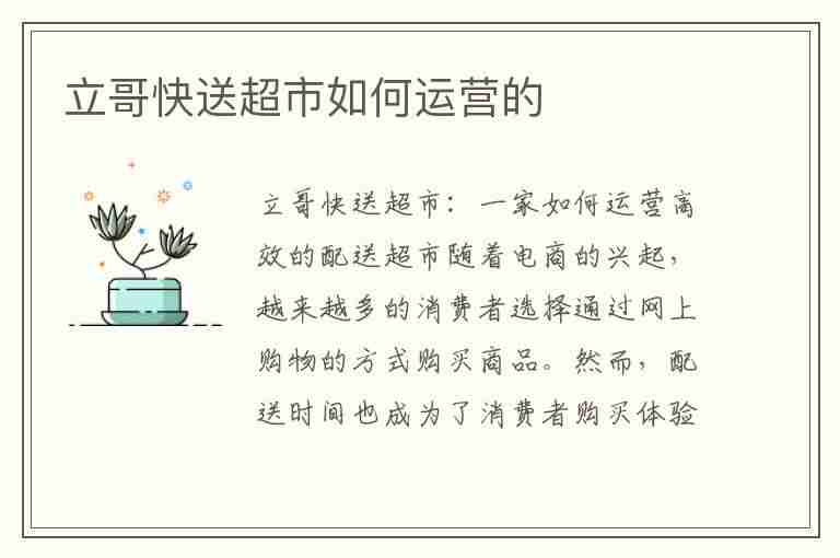 立哥快送超市如何运营的(立哥快送超市如何运营的啊)